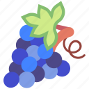grape, grapes, berry, fruit, fruits, fresh, food, organic