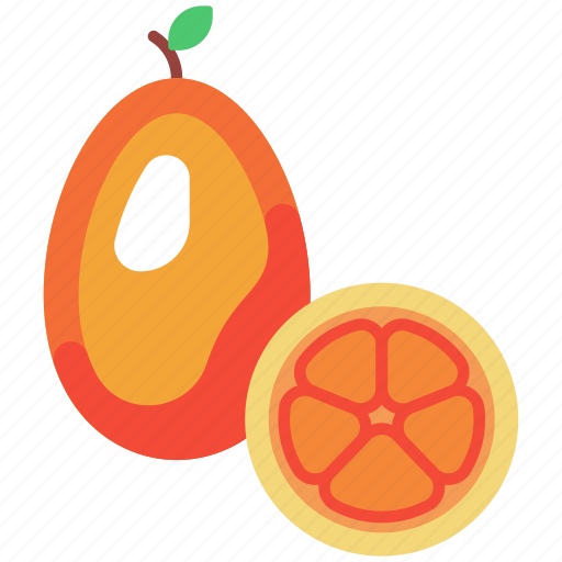 Kumquat, mandarine, citrus, fruit, fruits, fresh, food icon - Download on Iconfinder