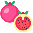 pomegranate, pomegranate fruit, fruit, fruits, fresh, food, organic