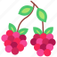 raspberry, berry, berries 
