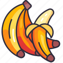 banana, banana fruit, fruit, fruits, fresh, food, organic