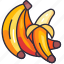 banana, banana fruit, fruit, fruits, fresh, food, organic 