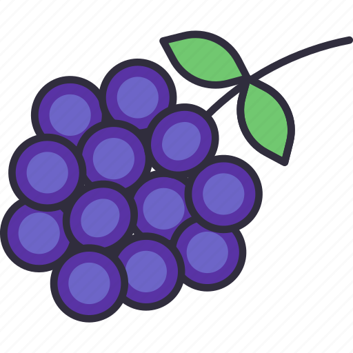 Blackberry, berry, grape, fruit, fruits, fresh, food icon - Download on Iconfinder