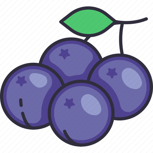 Blackcurrant, berry, grape, fruit, fruits, fresh, food icon - Download on Iconfinder