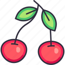 cherry, cherry fruit, fruit, fruits, fresh, food, organic