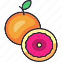 grapefruit, citrus, orange, fruit, fruits, fresh, food, organic