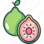 guava, guava fruit, fruit, fruits, fresh, food, organic 