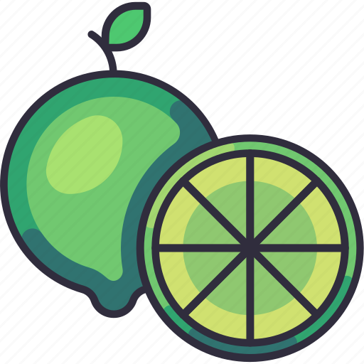 Lime, citrus, orange, fruit, fruits, fresh, food icon - Download on Iconfinder