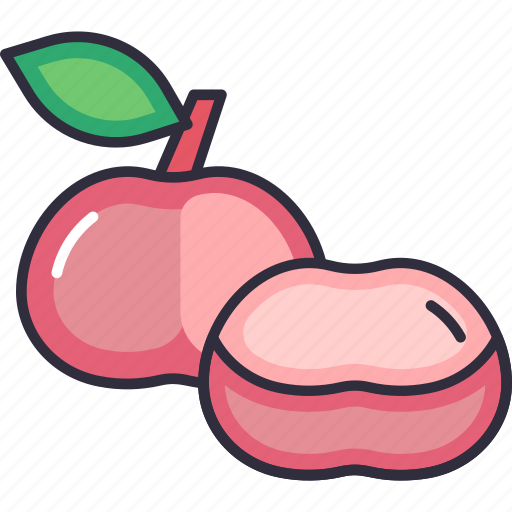 Longan, longan fruit, fruit, fruits, fresh, food, organic icon - Download on Iconfinder
