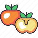 persimmon, persimmon fruit, fruit, fruits, fresh, food, organic
