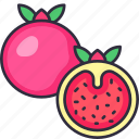pomegranate, pomegranate fruit, fruit, fruits, fresh, food, organic