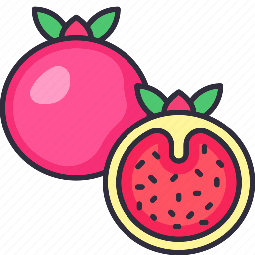 Pomegranate, pomegranate fruit, fruit, fruits, fresh, food, organic icon - Download on Iconfinder