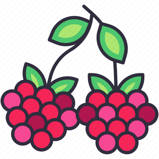Raspberry, berry, berries, fruit, fruits, fresh, food icon - Download on Iconfinder
