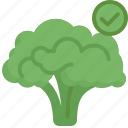 broccoli, organic, green, vegetable, raw, fresh, healthy, ingredient, nutrition
