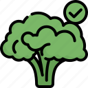 broccoli, organic, green, vegetable, raw, fresh, healthy, ingredient, nutrition