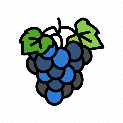 Blue, grape, wine, bunch, fruit, green icon - Download on Iconfinder