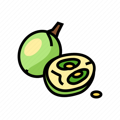 Seed, green, grape, wine, bunch, fruit icon - Download on Iconfinder