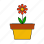 flower, grass, gardening, seed, floral, springtime, ecology, pot, sun flower 
