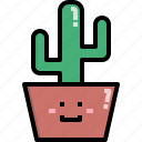 cacti, cactus, desert, nature, pot, summer, tree