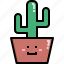 cacti, cactus, desert, nature, pot, summer, tree 