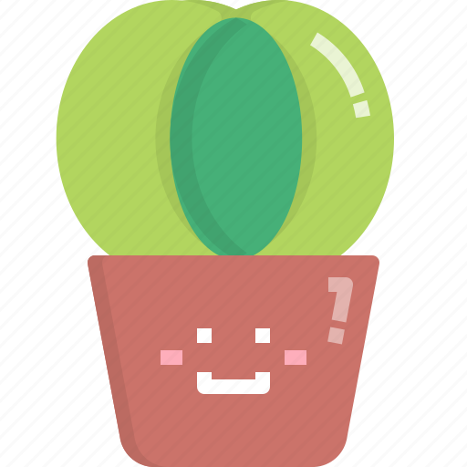 Astrophytum, cacti, cactus, desert, nature, pot, summer icon - Download on Iconfinder