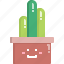 cacti, cactus, cereus, desert, nature, pot, summer 