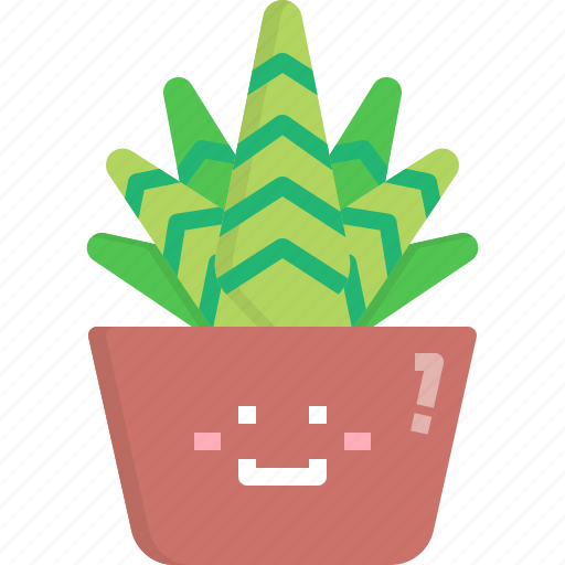 Cacti, cactus, desert, haworthia, nature, pot, summer icon - Download on Iconfinder