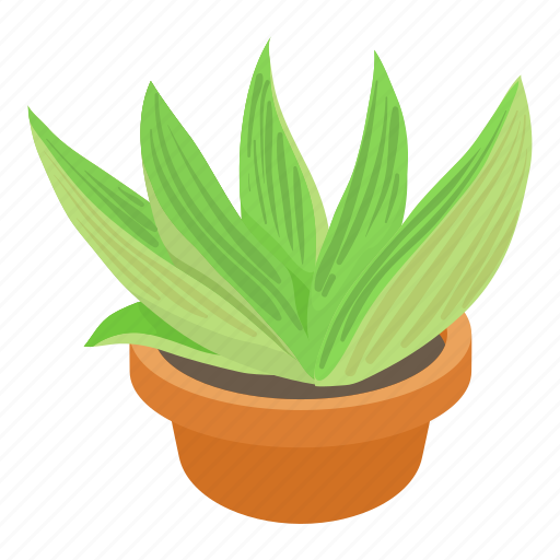 Agave, cartoon, decorative, flower, green, natural, white icon - Download on Iconfinder