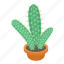 cactus, cartoon, decorative, desert, flower, green, white 