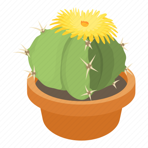 Blooming, cactus, cartoon, decorative, flower, green, white icon - Download on Iconfinder