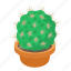 cactus, cartoon, decorative, flower, green, pot, white 