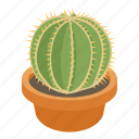 ball, cactus, cartoon, decorative, flower, green, white