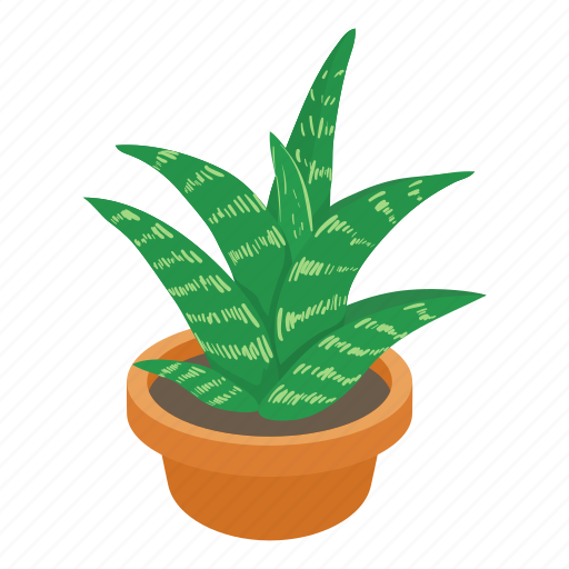 Aloe, cartoon, decorative, flower, green, natural, white icon - Download on Iconfinder