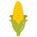 corn, maize, raw, sweet, healthy, food, spicy