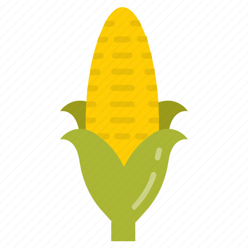 Corn, maize, raw, sweet, healthy, food, spicy icon - Download on Iconfinder