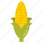 corn, maize, raw, sweet, healthy, food, spicy 