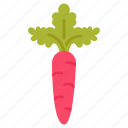 carrot, root, veg, vitamin, a, salad, fresh, healthy, food