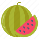 watermelon, pulpy, fruit, fresh, ground, farming