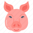 pork, bacon, ham, face, head, farm, animal