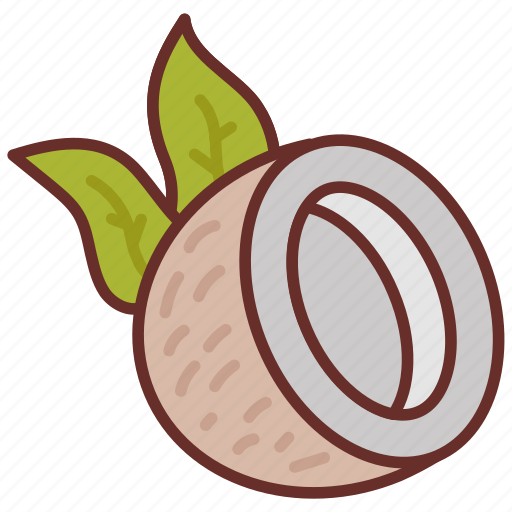 Coconut, fruit, water, milk, tropical icon - Download on Iconfinder