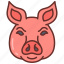 pork, bacon, ham, face, head, farm, animal 