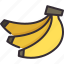 banana, fruit, organic, healthy, vegan 