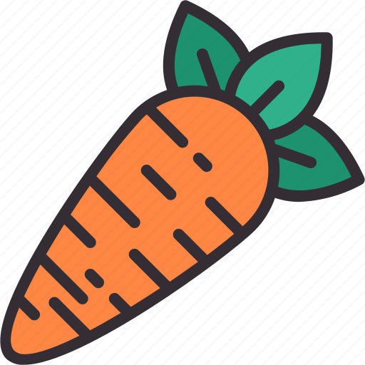 Carrot, vegetable, food, vegan, organ icon - Download on Iconfinder