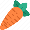 carrot, vegetable, food, vegan, organ 