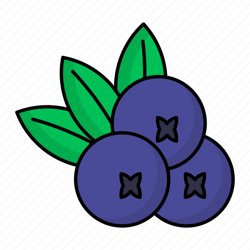 Blueberries, fruits, blueberry, healthy, vegetable, organic icon - Download on Iconfinder
