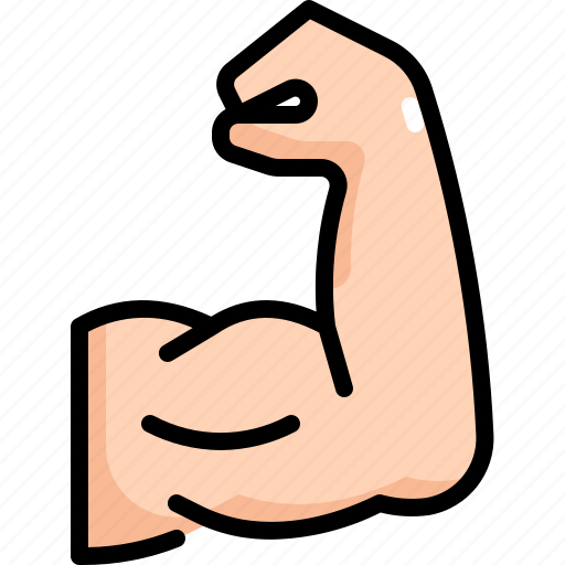 Arm, bodybuilding, exercise, fitness, gym, muscle, workout icon - Download on Iconfinder