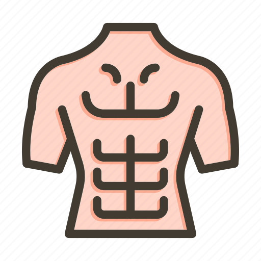 Six pack, muscle, body, fitness, workout icon - Download on Iconfinder