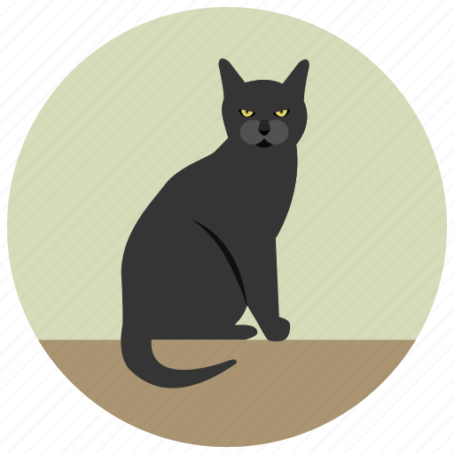 Animal, cat, halloween, pet, sitting icon - Download on Iconfinder