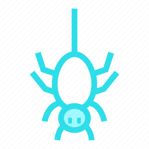 Arachnid, bug, halloweenspider, insect, spidericon icon - Download on Iconfinder