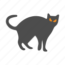 cat, halloween